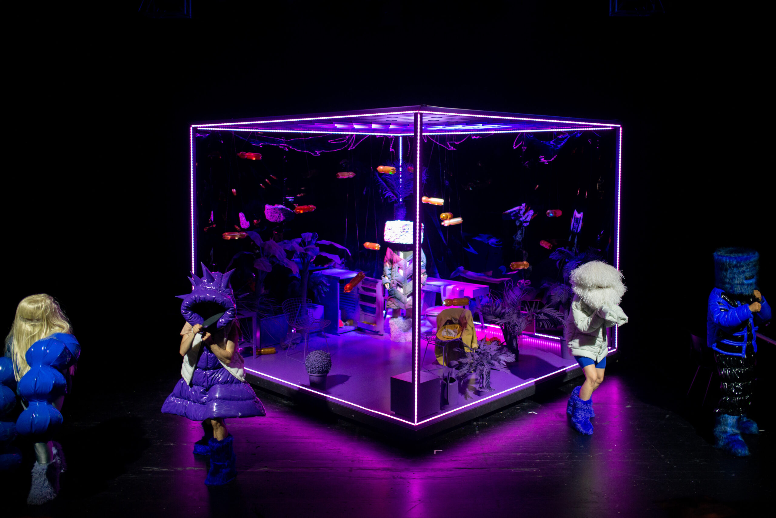 Ein Fisch wird nur so groß wie sein Aquarium